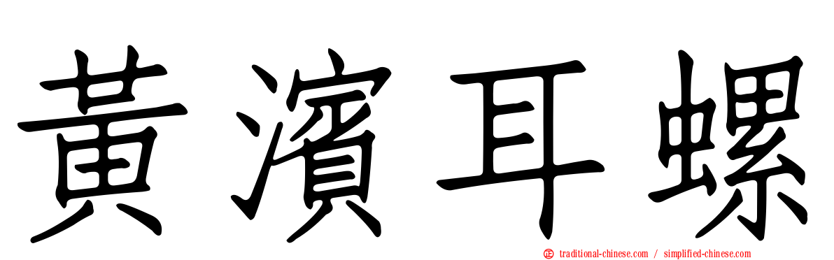 黃濱耳螺