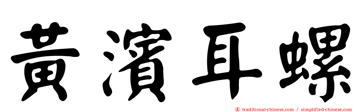 黃濱耳螺