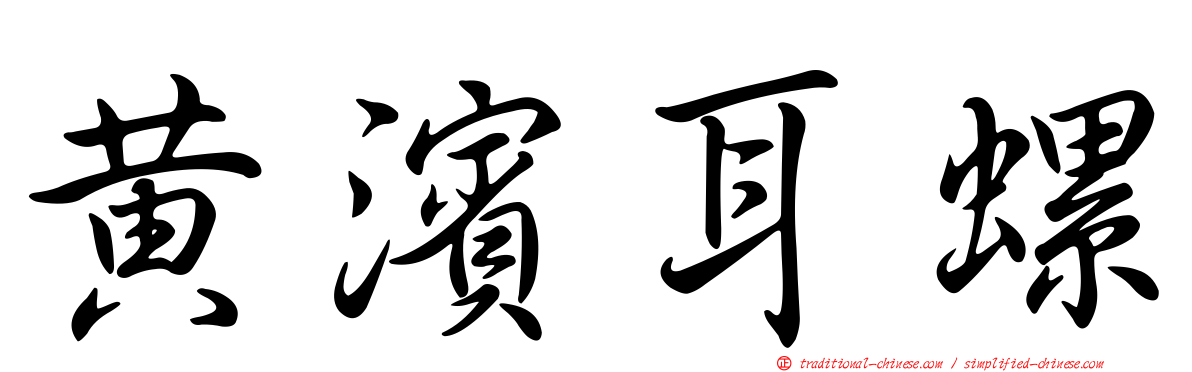 黃濱耳螺