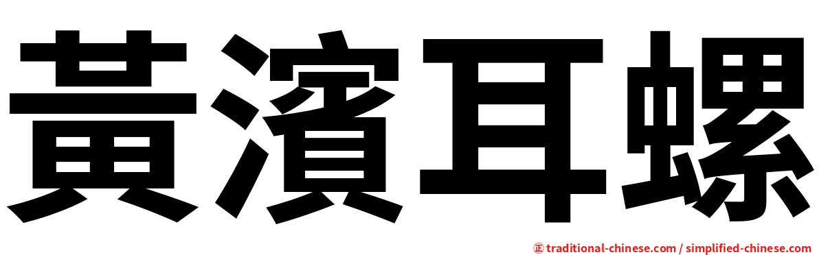 黃濱耳螺