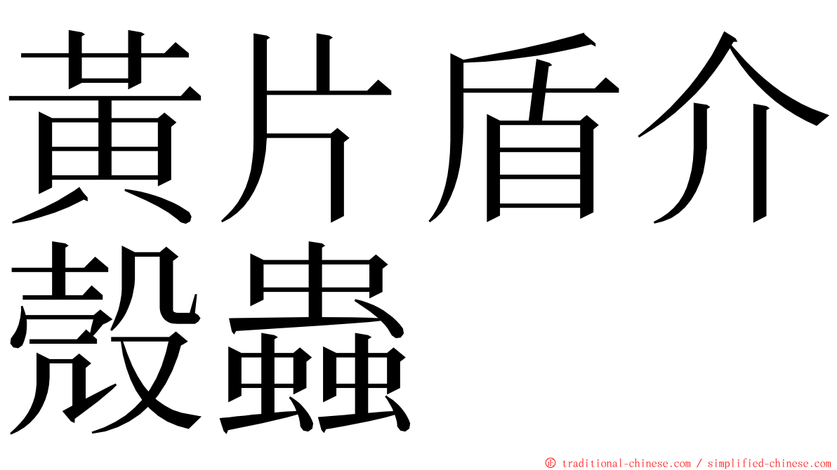 黃片盾介殼蟲 ming font