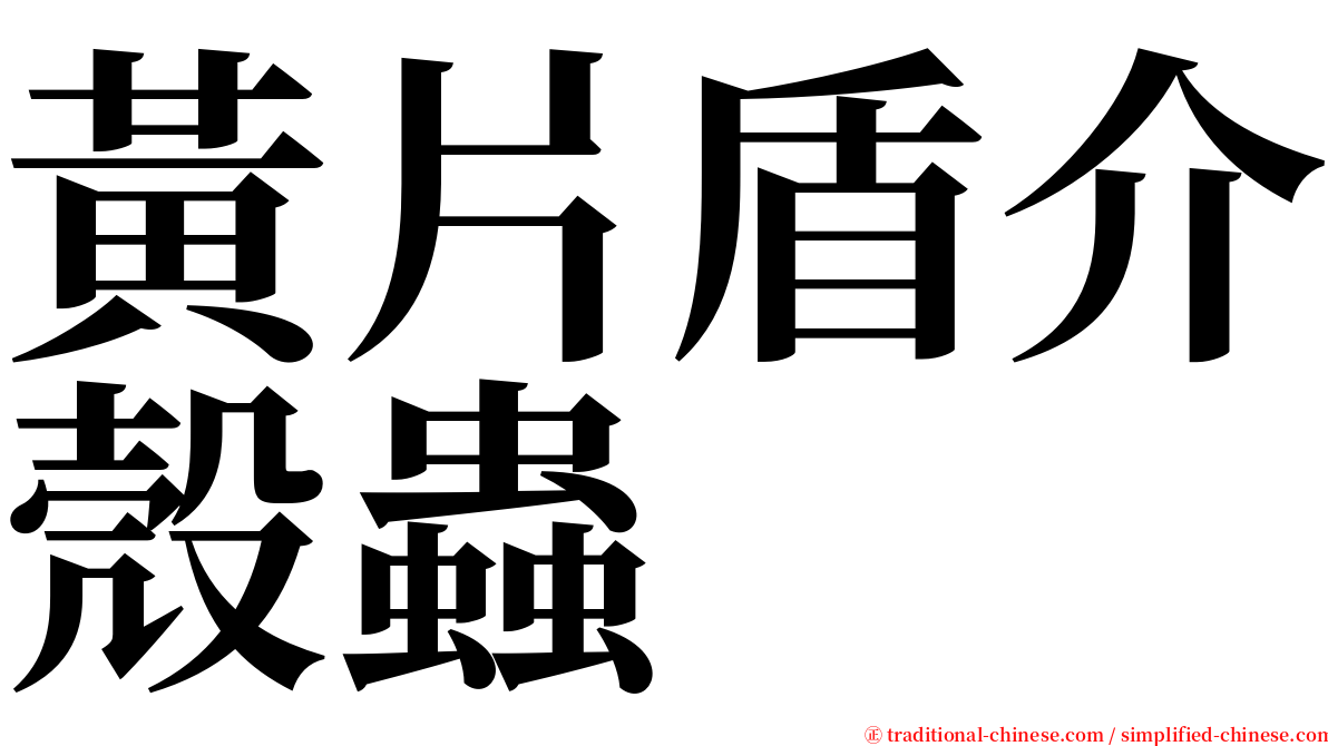 黃片盾介殼蟲 serif font