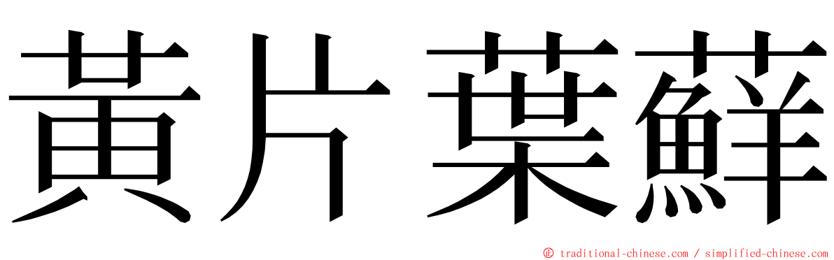 黃片葉蘚 ming font