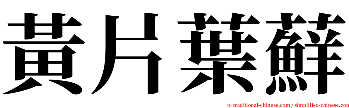 黃片葉蘚 serif font