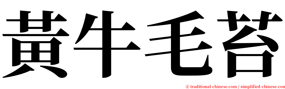 黃牛毛苔 serif font