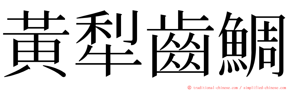 黃犁齒鯛 ming font