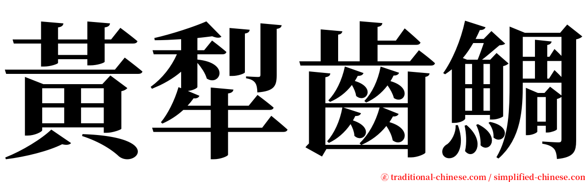 黃犁齒鯛 serif font