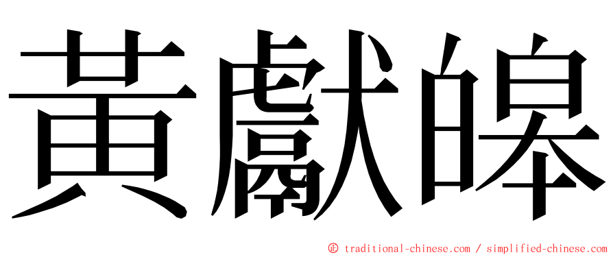 黃獻皞 ming font