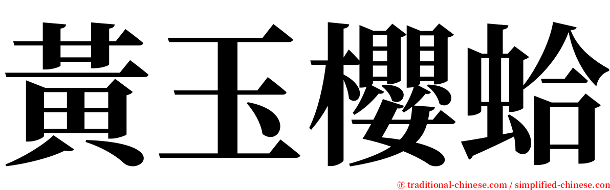 黃玉櫻蛤 serif font