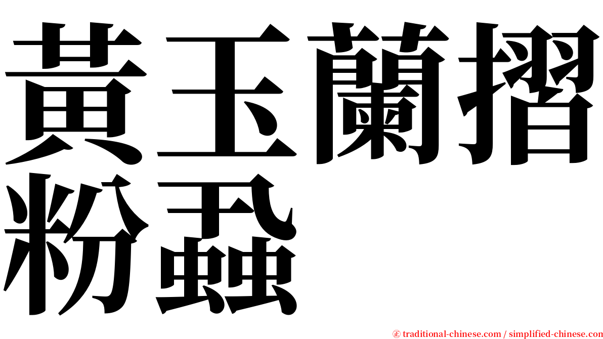 黃玉蘭摺粉蝨 serif font