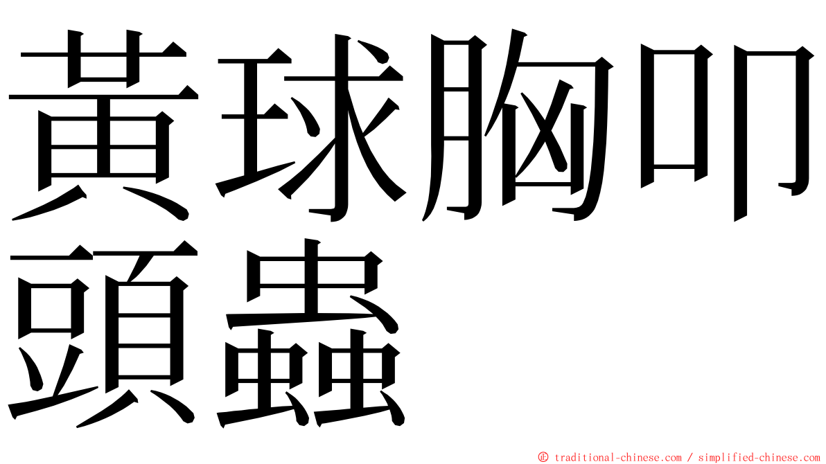 黃球胸叩頭蟲 ming font