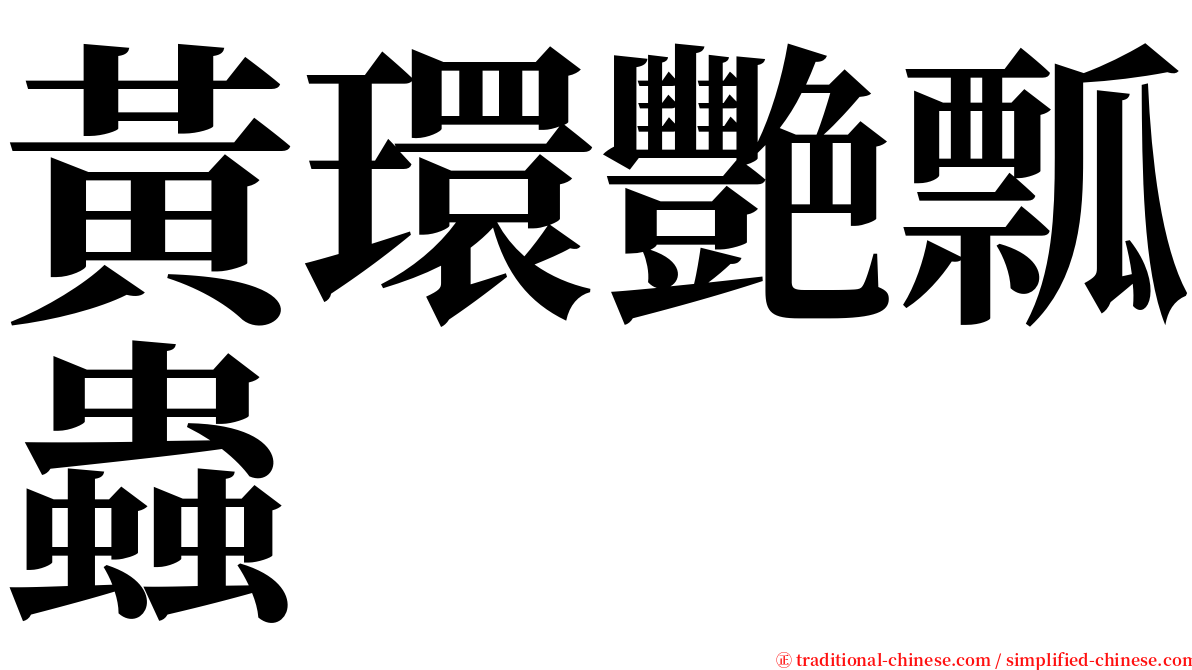 黃環艷瓢蟲 serif font