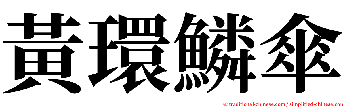 黃環鱗傘 serif font