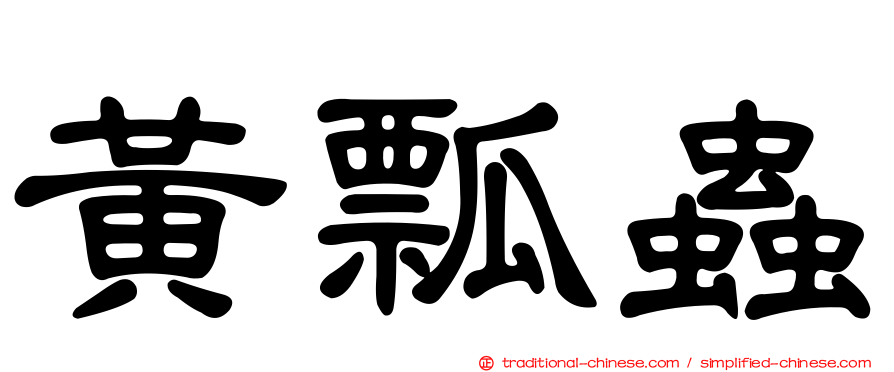 黃瓢蟲