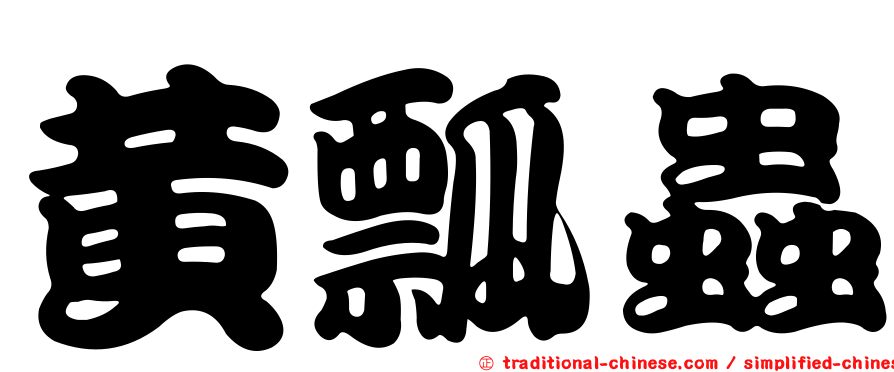 黃瓢蟲
