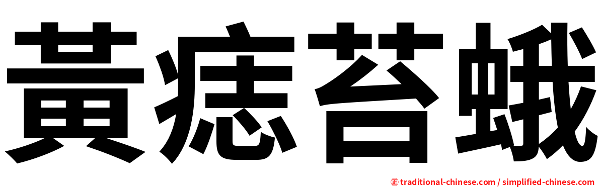 黃痣苔蛾