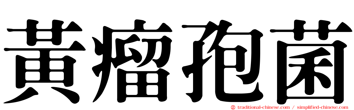 黃瘤孢菌