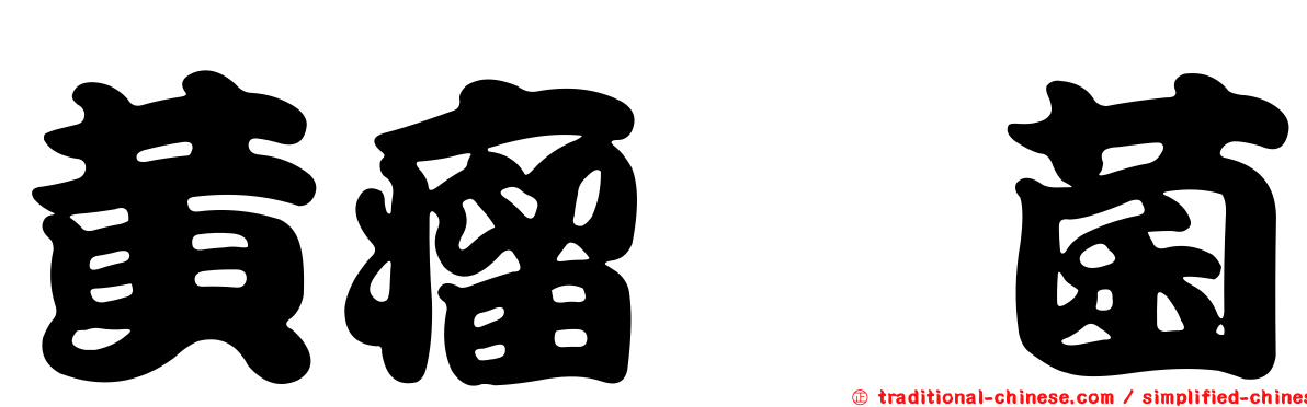 黃瘤孢菌