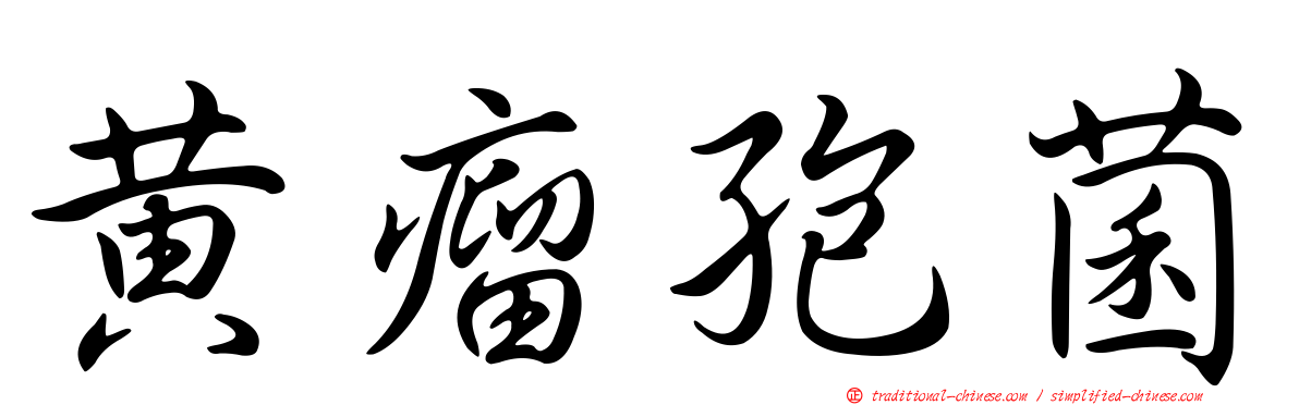 黃瘤孢菌