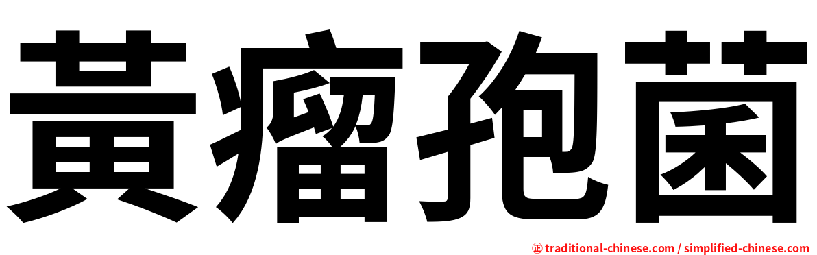 黃瘤孢菌