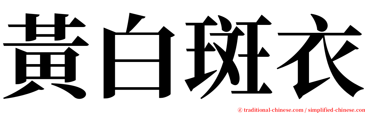 黃白斑衣 serif font