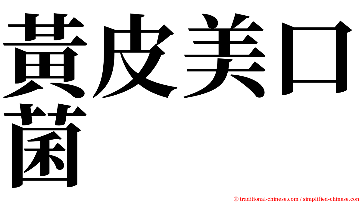 黃皮美口菌 serif font
