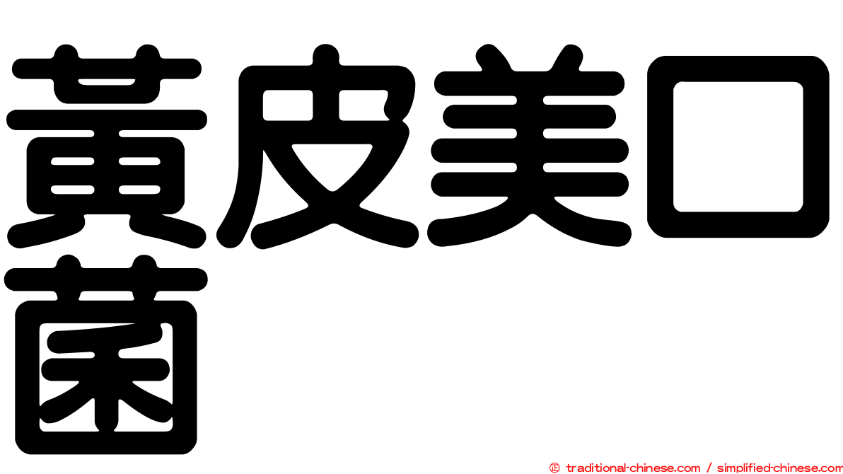 黃皮美口菌