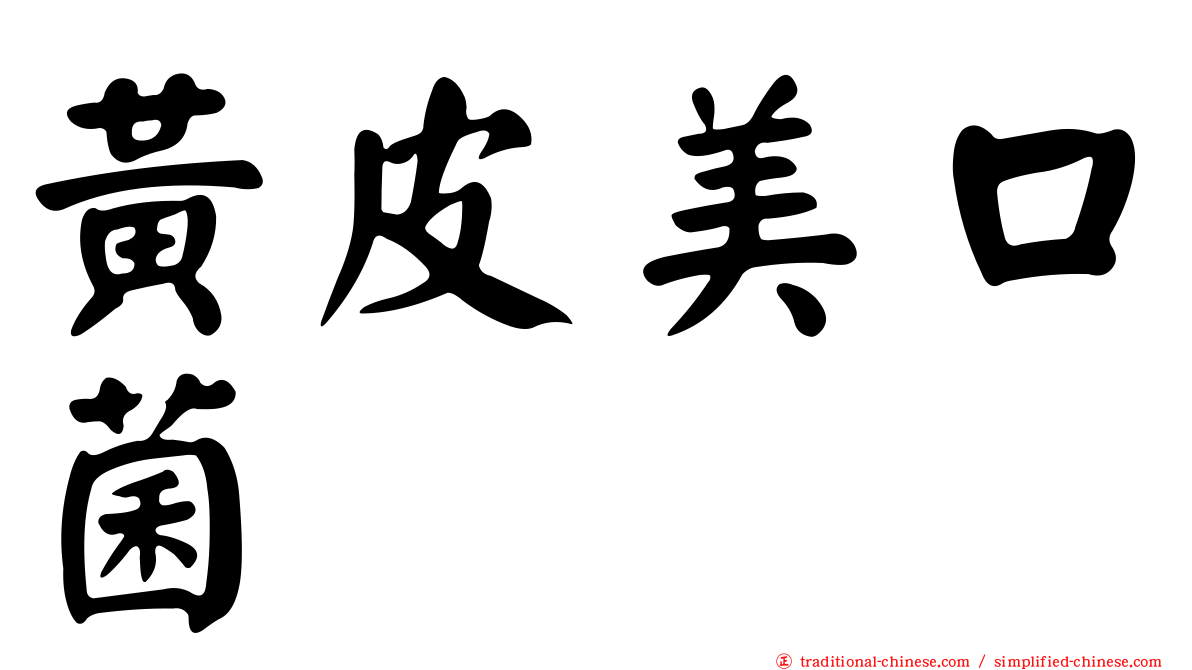 黃皮美口菌