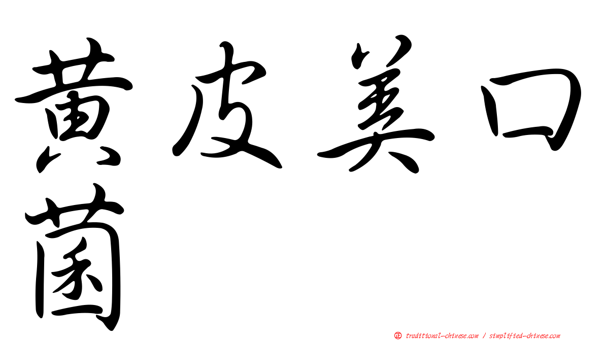 黃皮美口菌