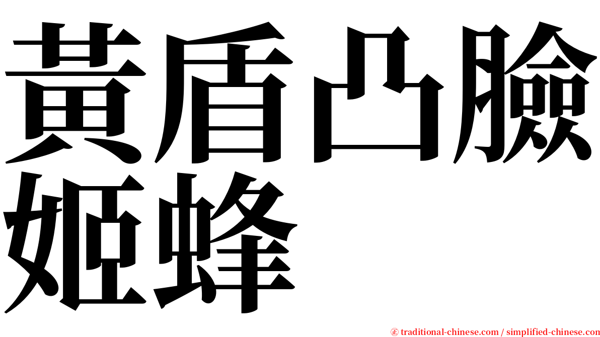 黃盾凸臉姬蜂 serif font