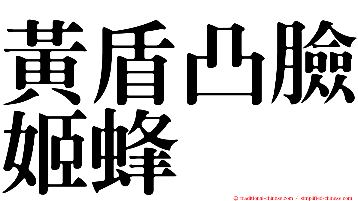 黃盾凸臉姬蜂