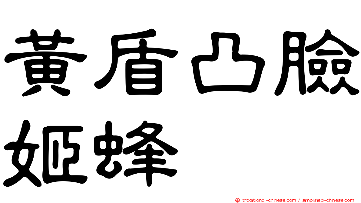 黃盾凸臉姬蜂