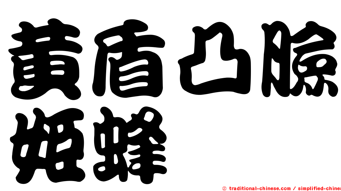 黃盾凸臉姬蜂