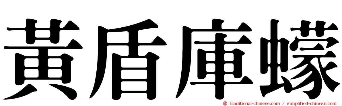 黃盾庫蠓