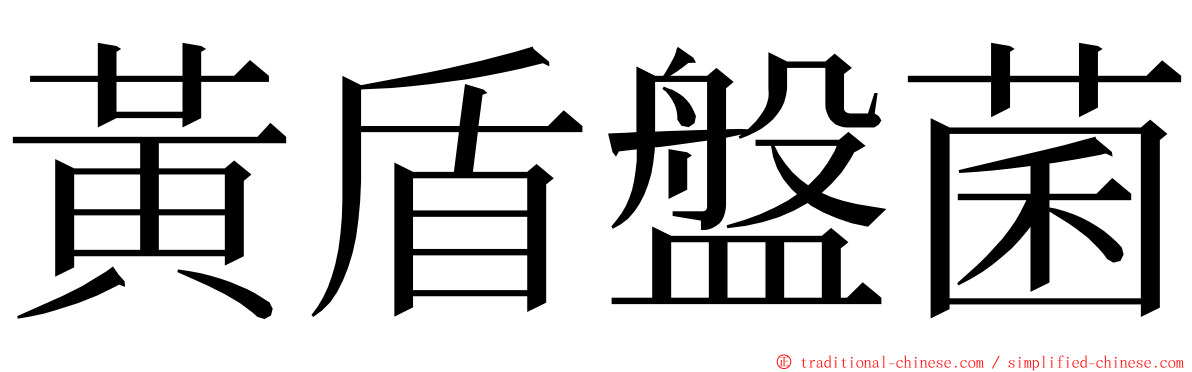 黃盾盤菌 ming font