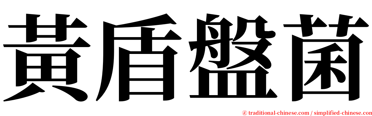 黃盾盤菌 serif font