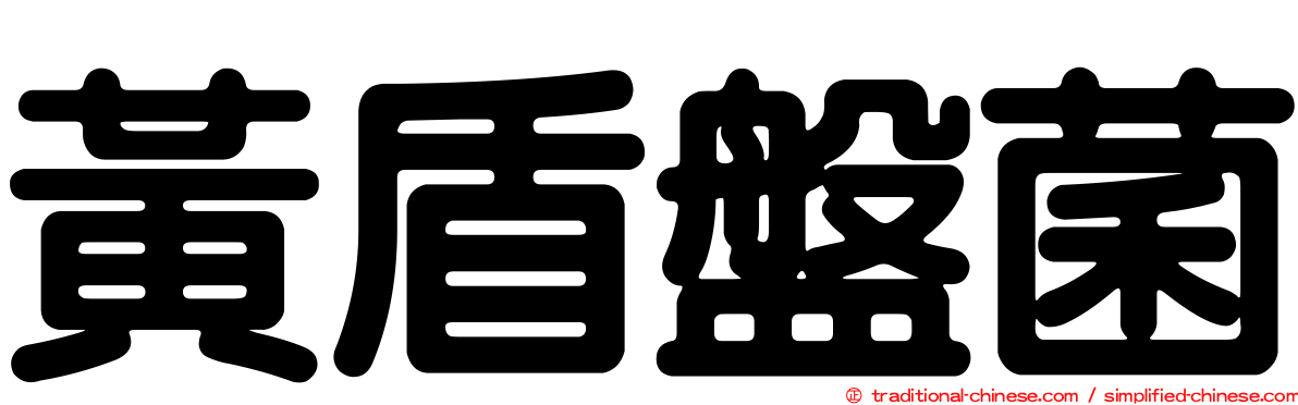 黃盾盤菌