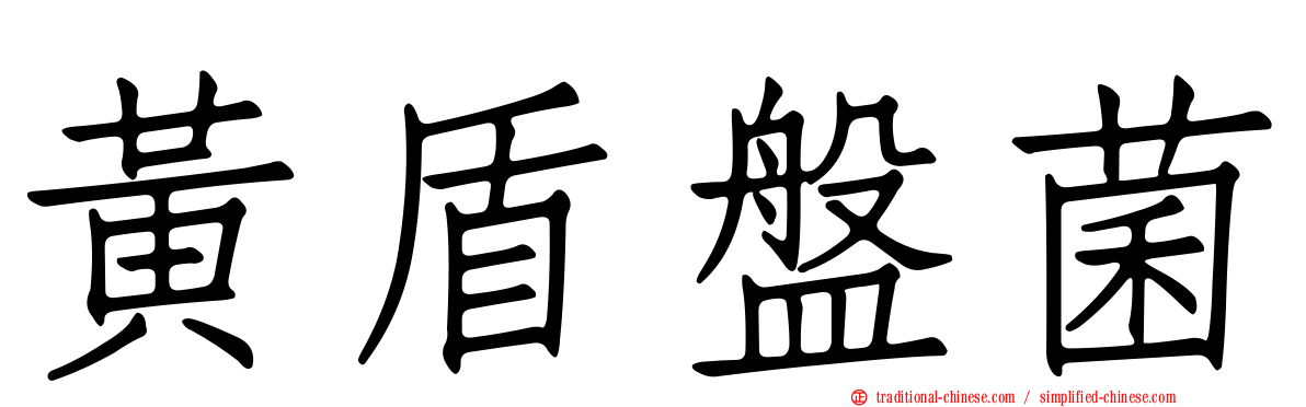 黃盾盤菌