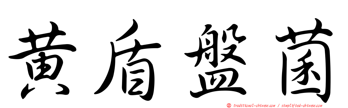 黃盾盤菌
