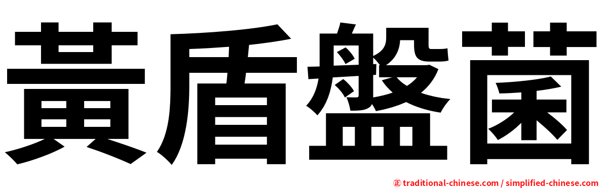 黃盾盤菌