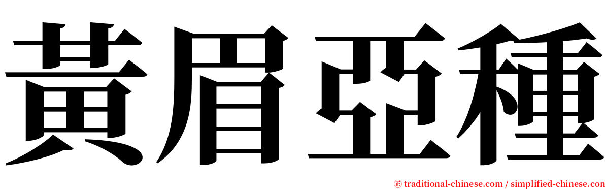 黃眉亞種 serif font