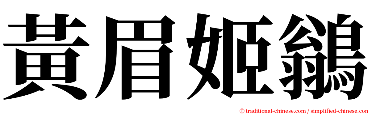 黃眉姬鶲 serif font