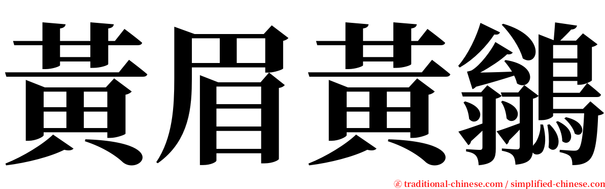 黃眉黃鶲 serif font