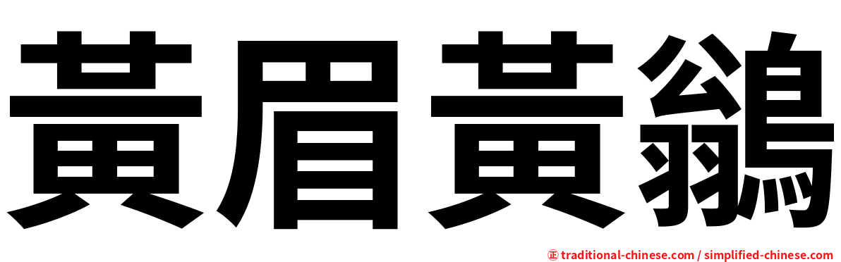 黃眉黃鶲