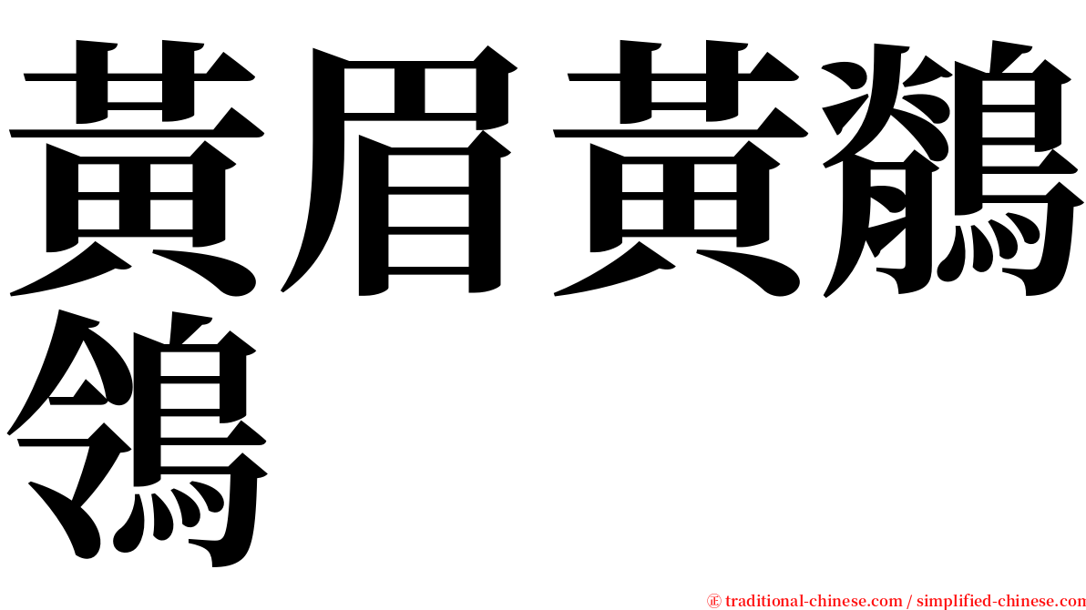黃眉黃鶺鴒 serif font