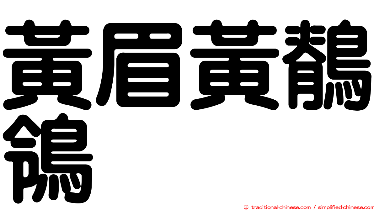 黃眉黃鶺鴒