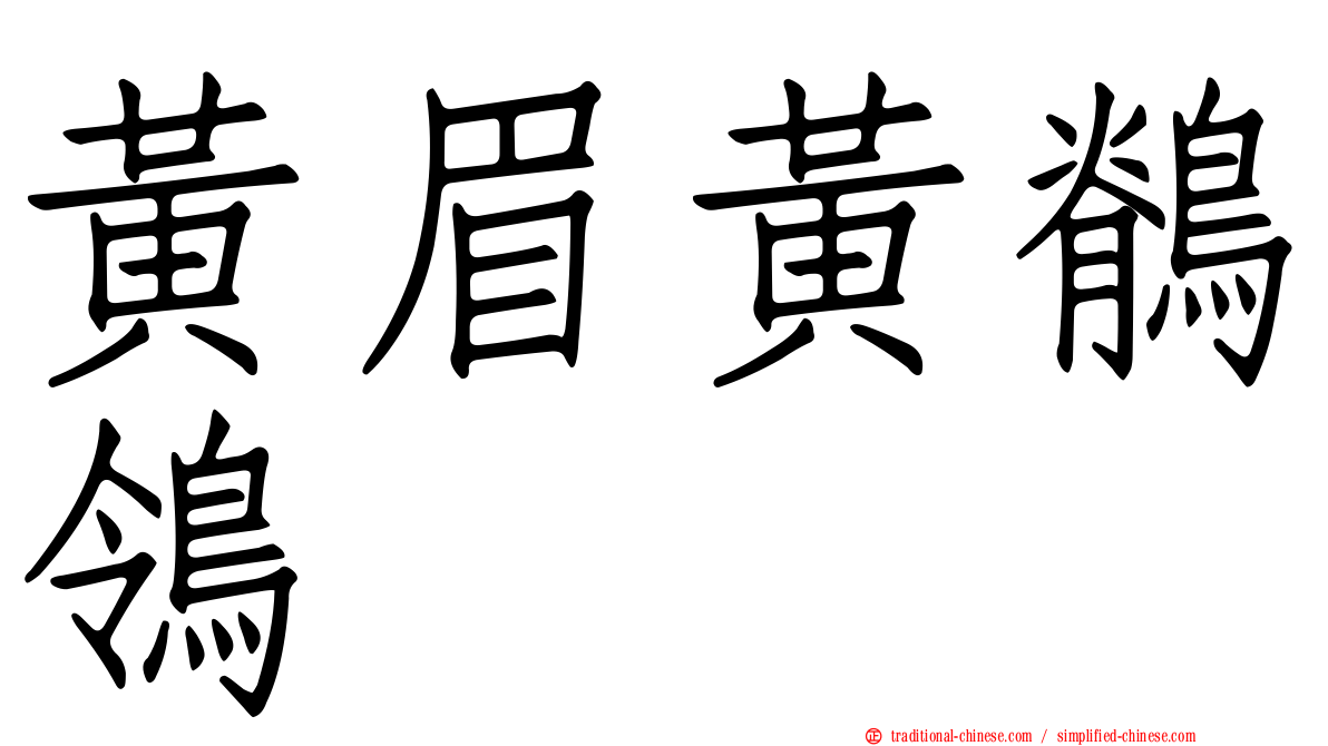黃眉黃鶺鴒