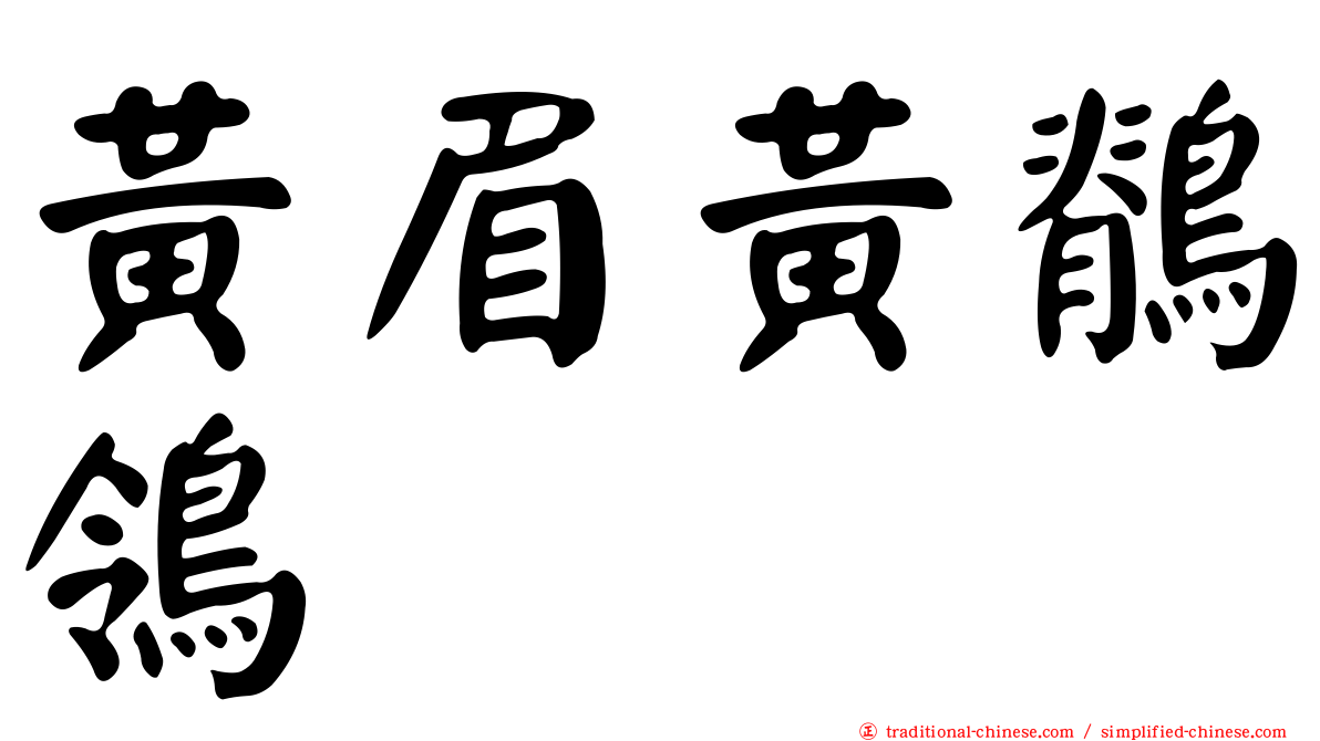 黃眉黃鶺鴒