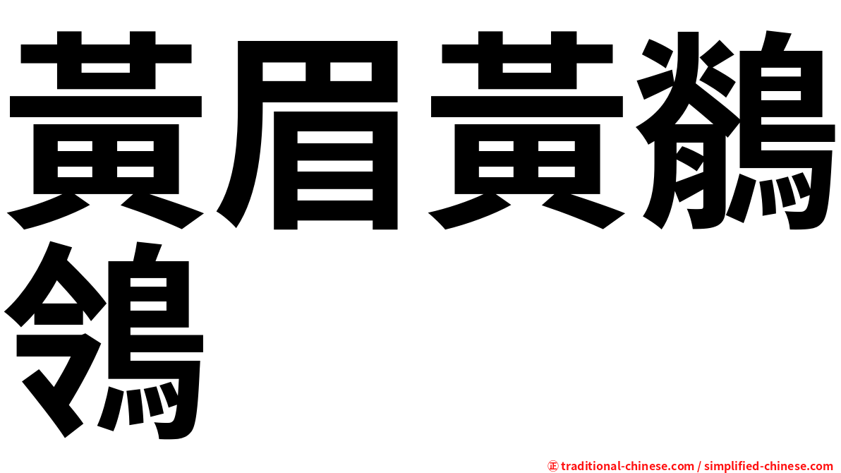 黃眉黃鶺鴒
