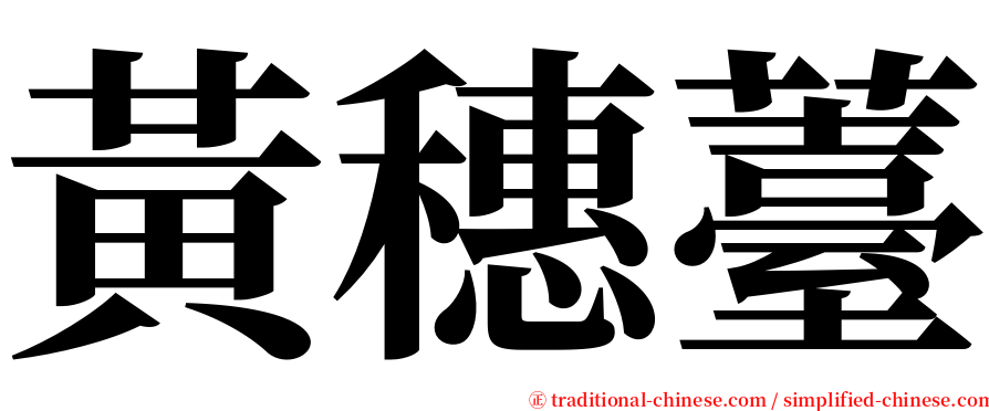 黃穗薹 serif font